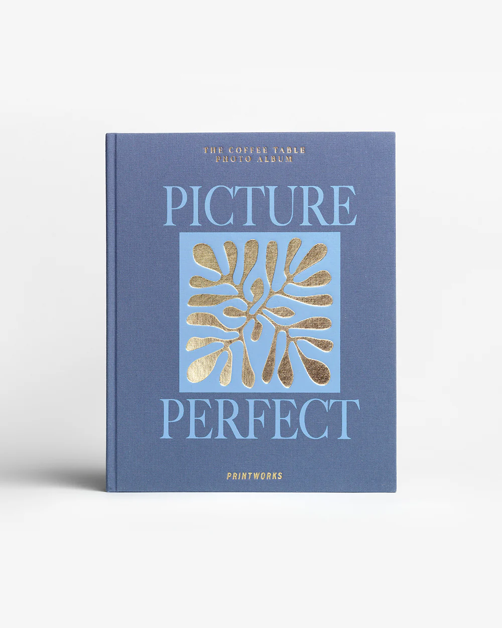 Photo Album - Picture Perfect, Blue